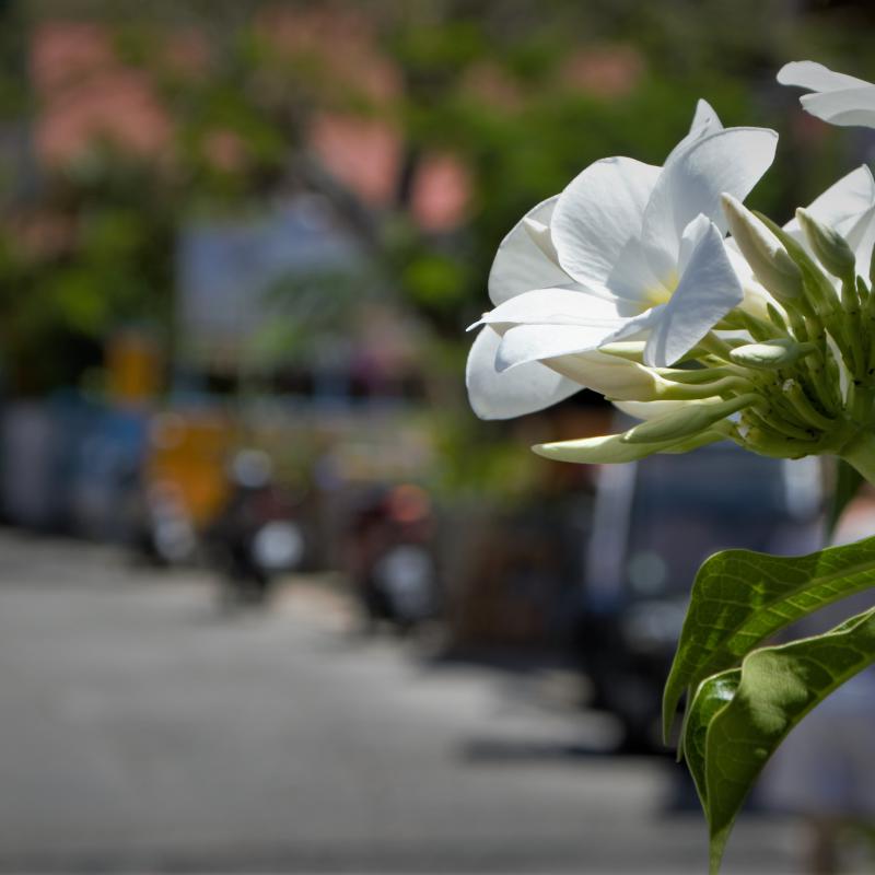 fotogallerie